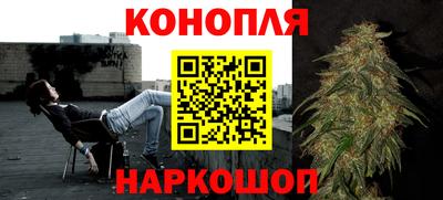 винт Сланцы