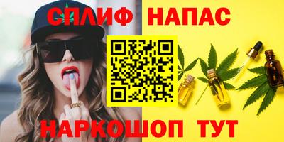 винт Сланцы