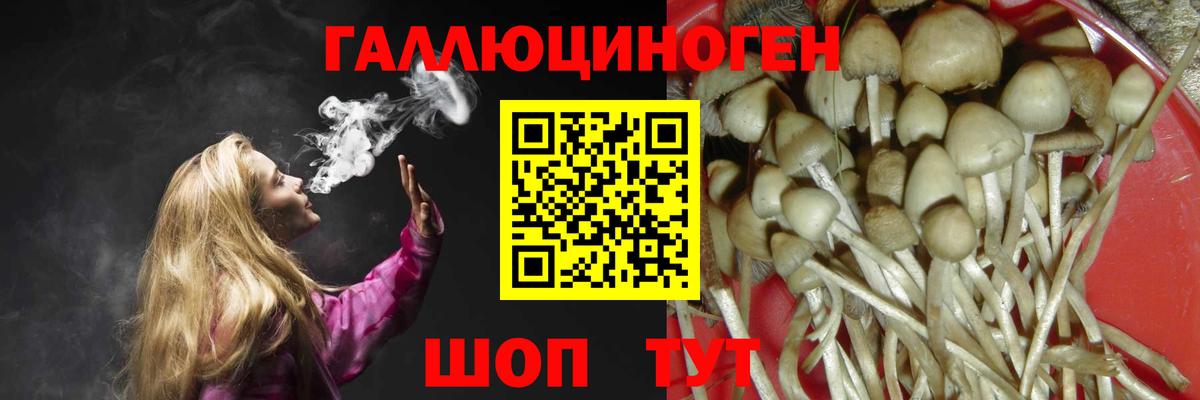 Новороссийск  Галлюциногенные грибы GOLDEN TEACHER  Вход с VPN  Галлюциногенные грибы Magic Shrooms 